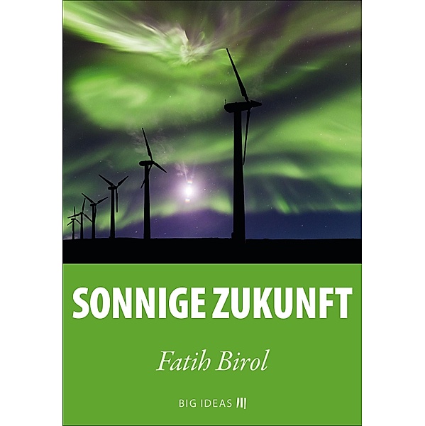 Sonnige Zukunft / Big Ideas Bd.6, Fatih Birol