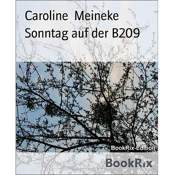 Sonntag auf der B209, Caroline Meineke