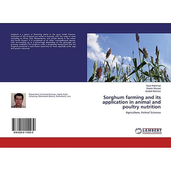 Sorghum farming and its application in animal and poultry nutrition, Yaser Rahimian, Shahin Shirvani, Azadeh Behrooz