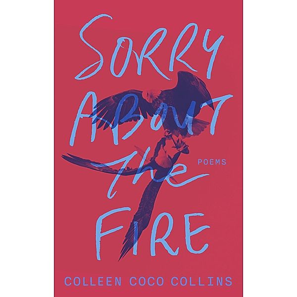 Sorry About the Fire, Colleen Coco Collins
