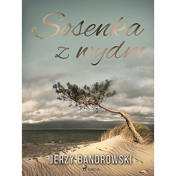 Sosenka z wydm, Jerzy Bandrowski