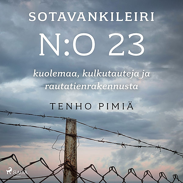 Sotavankileiri n:o 23: kuolemaa, kulkutauteja ja rautatienrakennusta, Tenho Pimiä