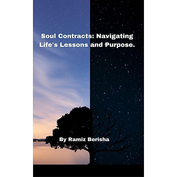 Soul Contracts: Navigating Life's Lessons and Purpose, Ramiz Berisha