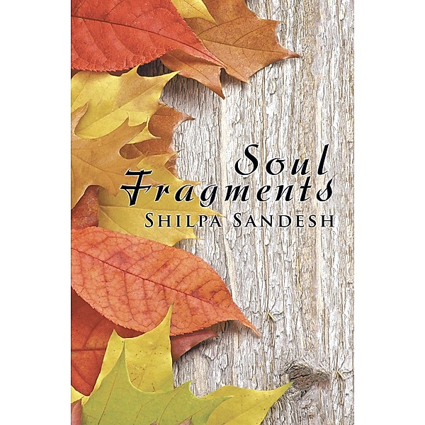 Soul Fragments, Shilpa Sandesh