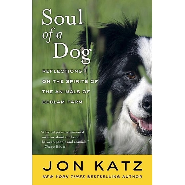 Soul of a Dog, Jon Katz