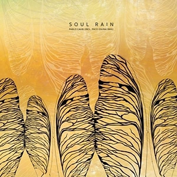 Soul Rain (Paco Osuna Remix), Pablo Cahn