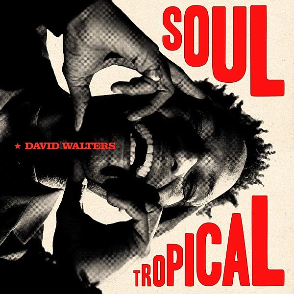 Soul Tropical (Gatefold), David Walters
