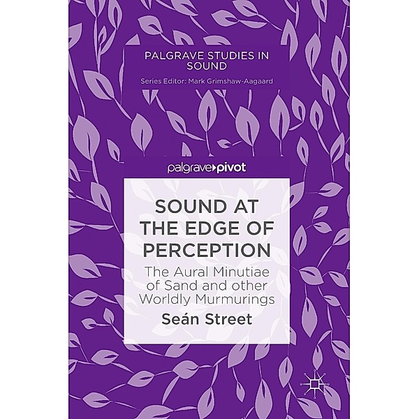 Sound at the Edge of Perception / Palgrave Studies in Sound, Seán Street