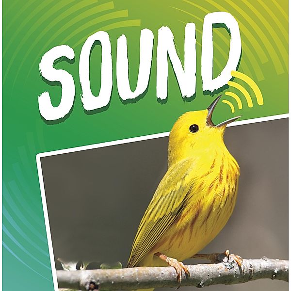Sound / Raintree Publishers, Michael Dahl