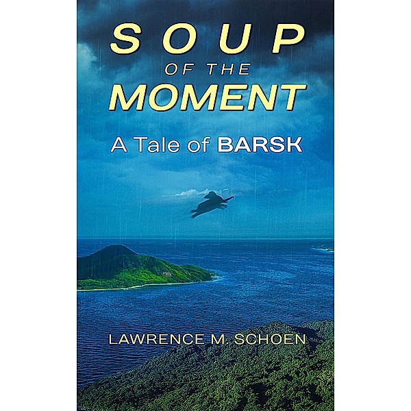 Soup of the Moment, Lawrence M Schoen