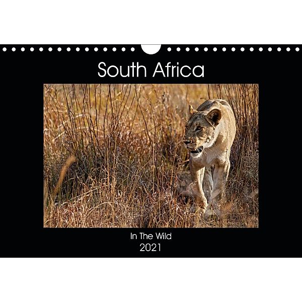 South Africa - In The Wild (Wall Calendar 2021 DIN A4 Landscape), KG Photography