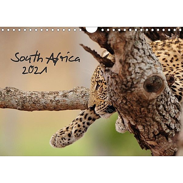 South Africa / UK-Version (Wall Calendar 2021 DIN A4 Landscape), Kirsten Karius