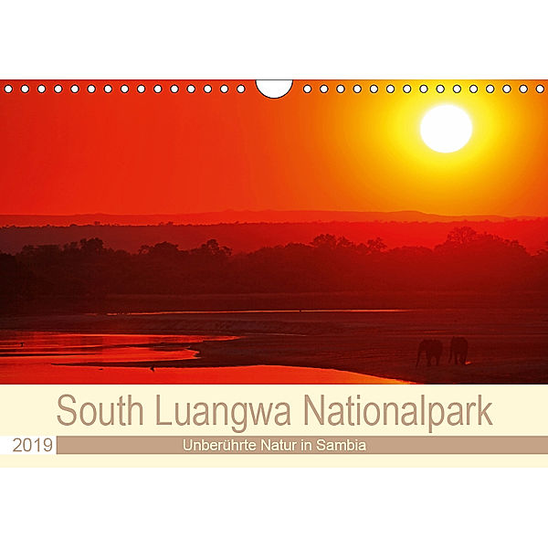 South Luangwa Nationalpark (Wandkalender 2019 DIN A4 quer), Wibke Woyke