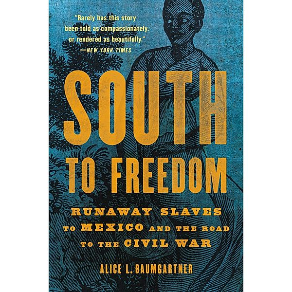 South to Freedom, Alice L Baumgartner