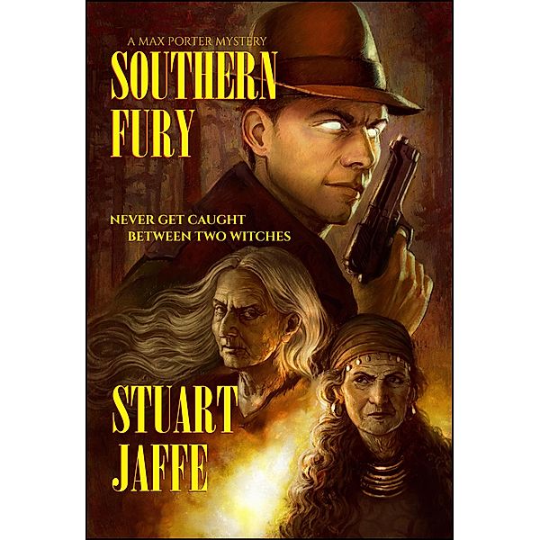 Southern Fury (Max Porter, #11) / Max Porter, Stuart Jaffe