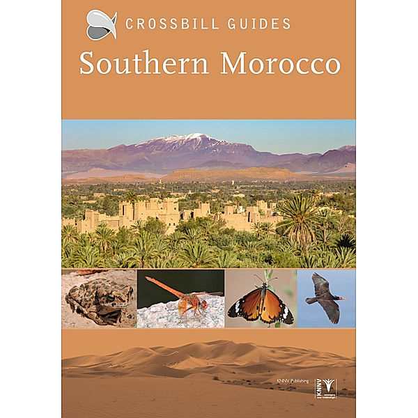 Southern Morocco, Martin Pitt