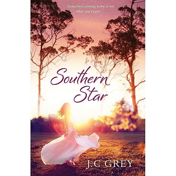 Southern Star: Destiny Romance, J. C Grey