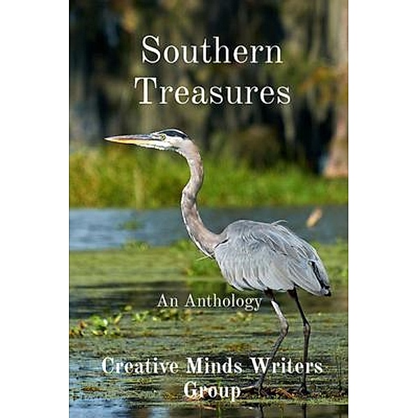 Southern Treasures / Creative Minds Writers Group, Inc.