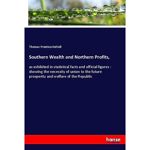 Southern Wealth and Northern Profits,, Thomas Prentice Kettell