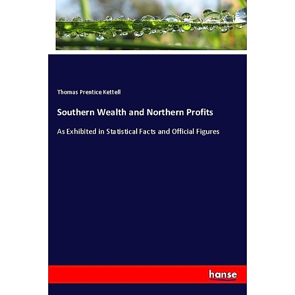 Southern Wealth and Northern Profits, Thomas Prentice Kettell