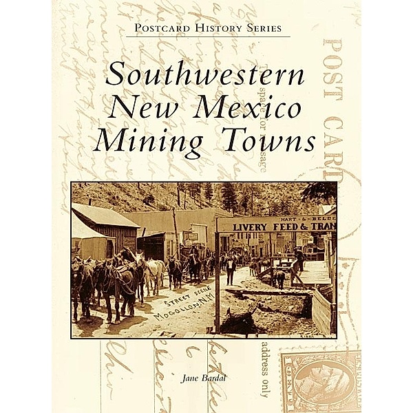 Southwestern New Mexico Mining Towns, Jane Bardal