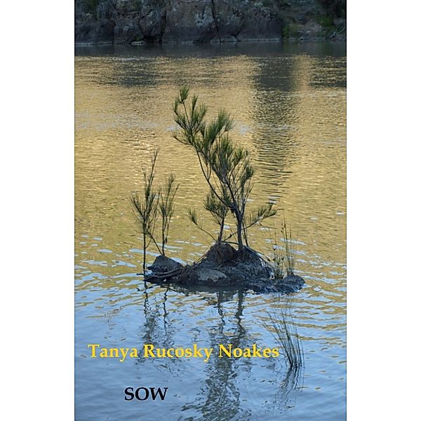 Sow: Poems by Tanya Rucosky Noakes, Tanya Rucosky Noakes