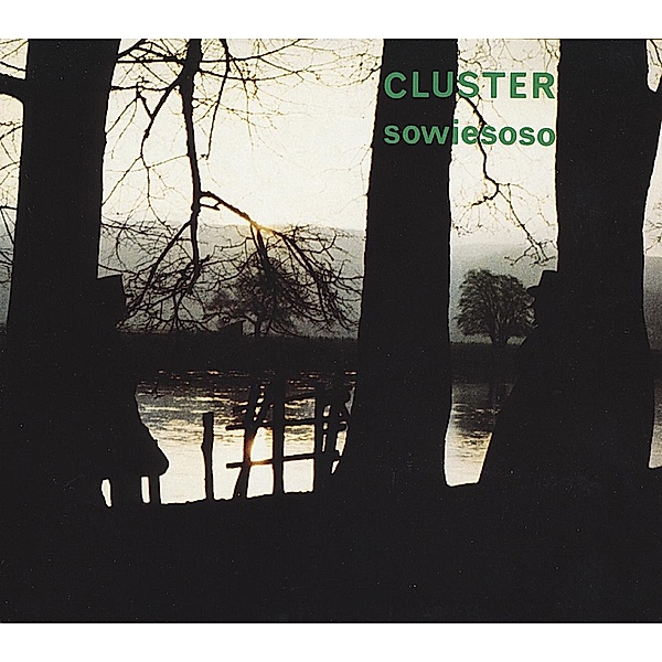 Sowiesoso (Vinyl), Cluster