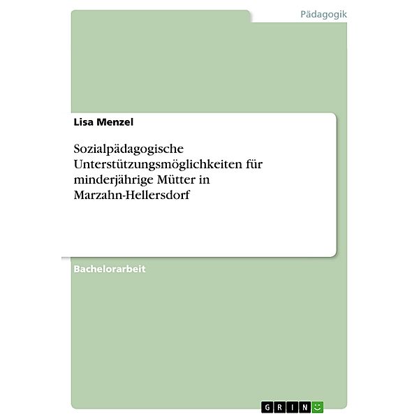 Sozialpädagogische Unterstützungsmöglichkeiten für minderjährige Mütter in Marzahn-Hellersdorf, Lisa Menzel