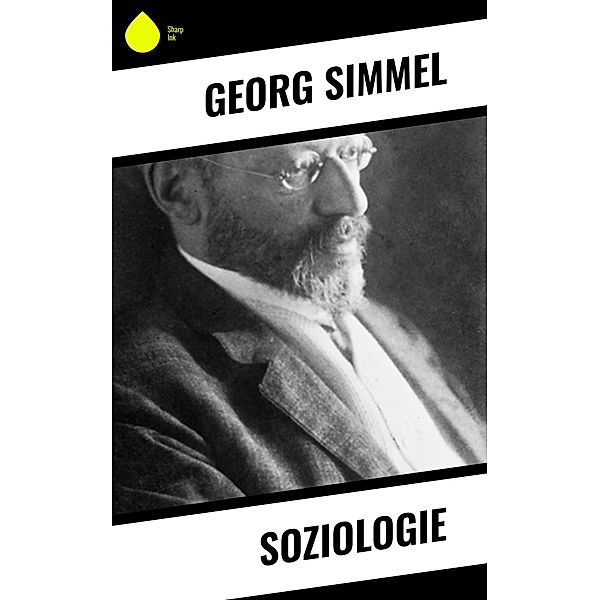 Soziologie, Georg Simmel