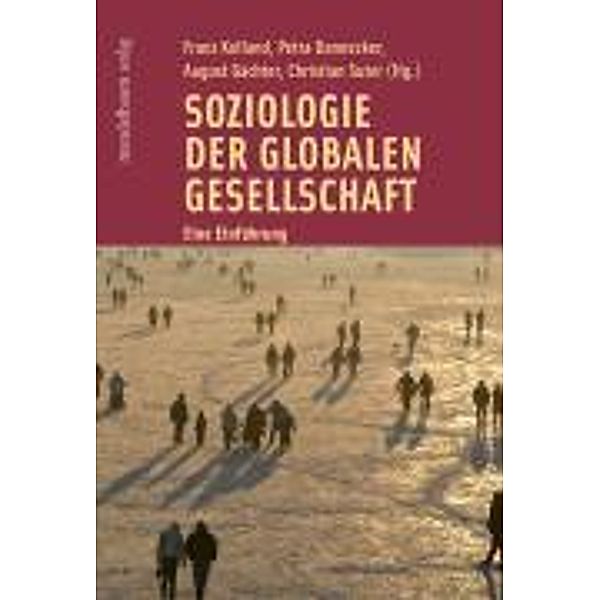 Soziologie der globalen Gesellschaft