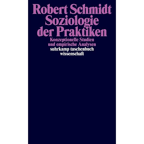 Soziologie der Praktiken, Robert Schmidt