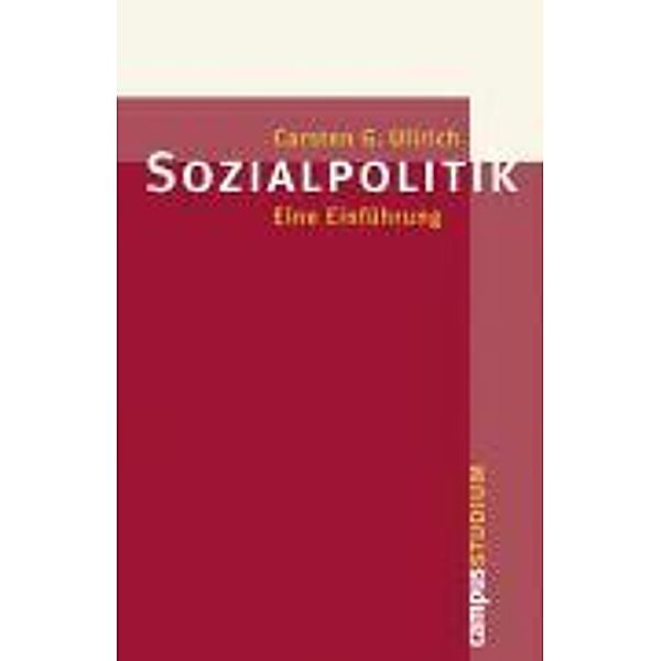 Soziologie des Wohlfahrtsstaates / Campus Studium, Carsten G. Ullrich