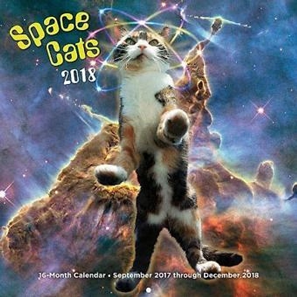 Space Cats 2018, Editors of Rock Point
