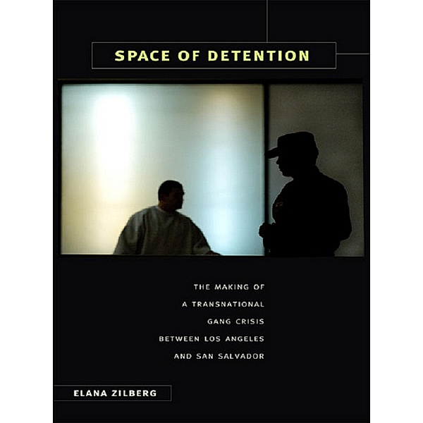 Space of Detention, Zilberg Elana Zilberg