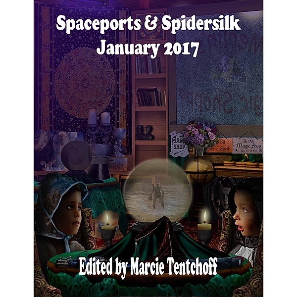 Spaceports & Spidersilk January 2017, Marcie Tentchoff