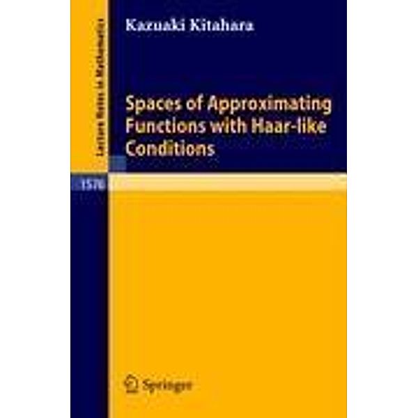 Spaces of Approximating Functions with Haar-like Conditions, Kazuaki Kitahara