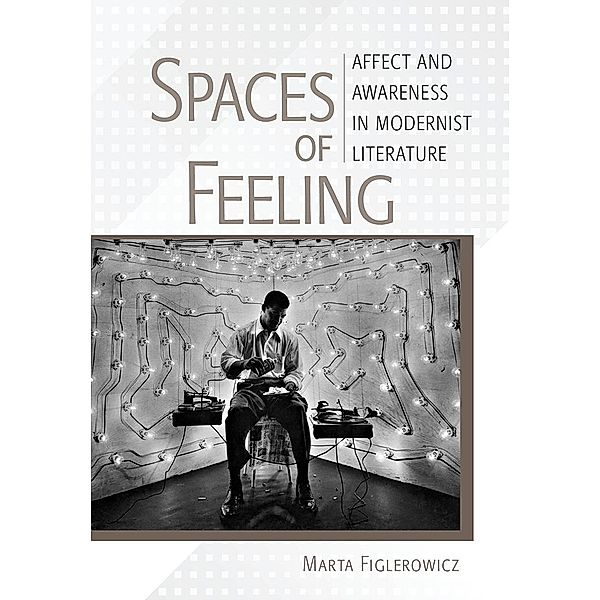 Spaces of Feeling, Marta Figlerowicz
