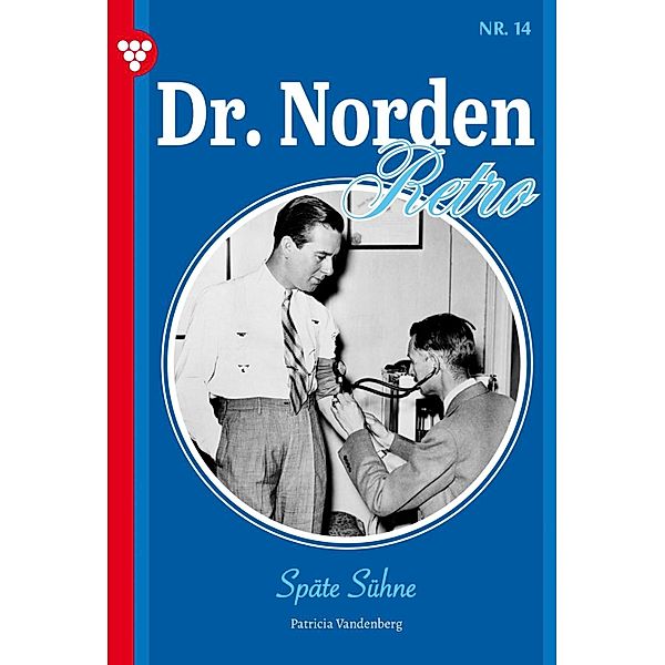 Späte Sühne / Dr. Norden - Retro Edition Bd.14, Patricia Vandenberg