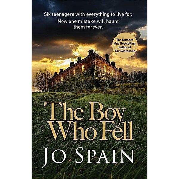 Spain, J: Boy Who Fell, Jo Spain
