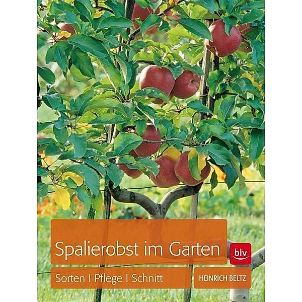 Spalierobst im Garten, Heinrich Beltz