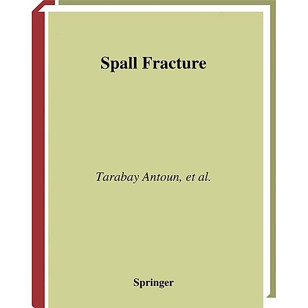 Spall Fracture / Shock Wave and High Pressure Phenomena, Tarabay Antoun, Lynn Seaman, Donald R Curran, Gennady I. Kanel, Sergey V. Razorenov, Alexander V. Utkin