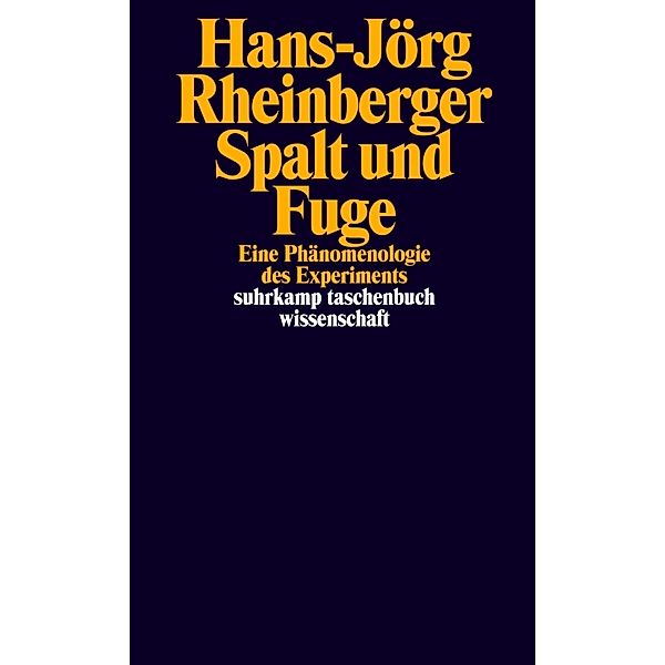 Spalt und Fuge, Hans-Jörg Rheinberger