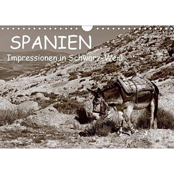 Spanien Impressionen in Schwarz-Weiß (Wandkalender 2020 DIN A4 quer), Benny Trapp
