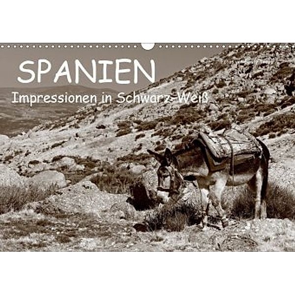 Spanien Impressionen in Schwarz-Weiß (Wandkalender 2020 DIN A3 quer), Benny Trapp