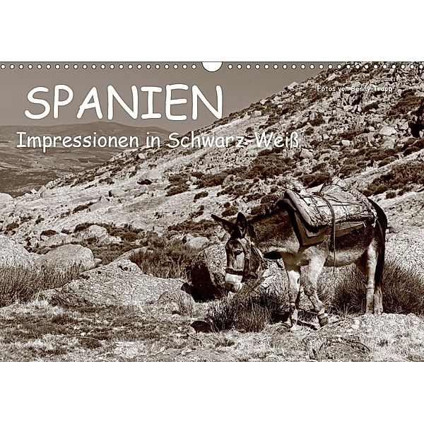 Spanien Impressionen in Schwarz-Weiß (Wandkalender 2021 DIN A3 quer), Benny Trapp