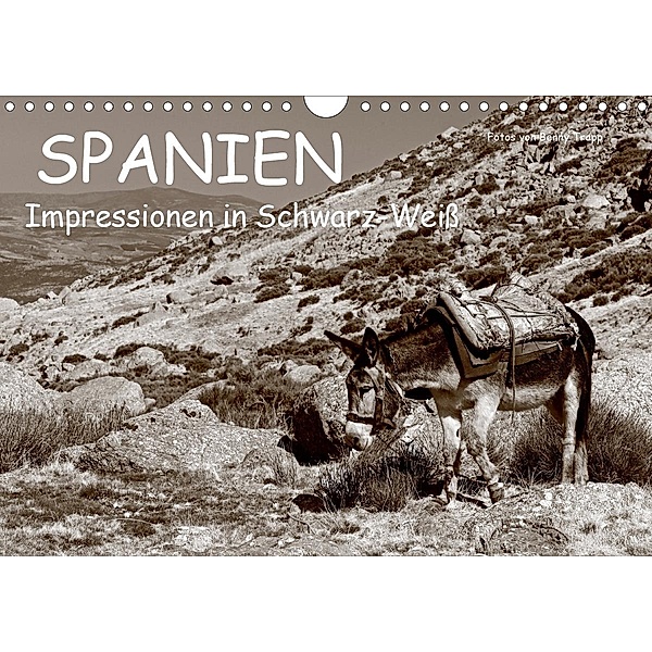 Spanien Impressionen in Schwarz-Weiss (Wandkalender 2021 DIN A4 quer), Benny Trapp