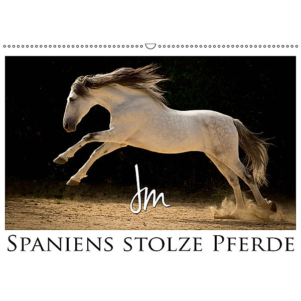 Spaniens stolze PferdeAT-Version (Wandkalender 2019 DIN A2 quer), Julia Moll
