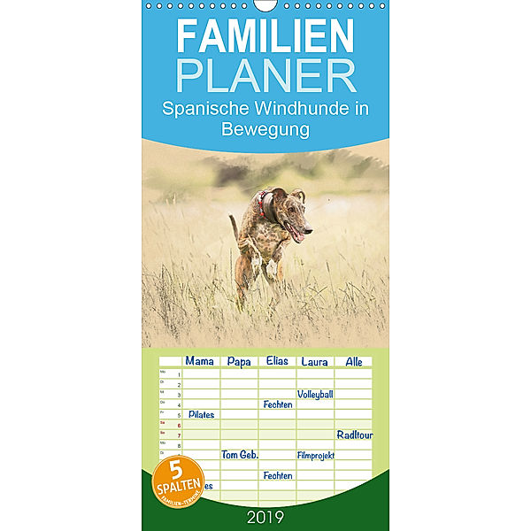 Spanische Windhunde in Bewegung - Familienplaner hoch (Wandkalender 2019 , 21 cm x 45 cm, hoch), Andrea Redecker