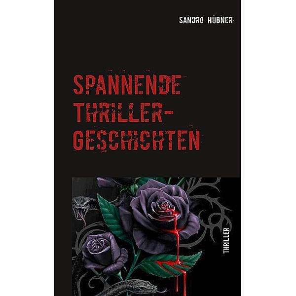 Spannende Thriller-Geschichten, Sandro Hübner