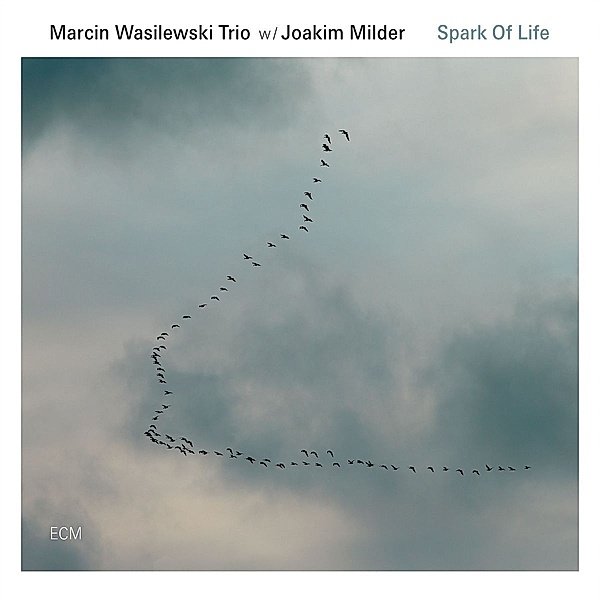 Spark Of Life, Marcin Wasilewski, Joakim Milder